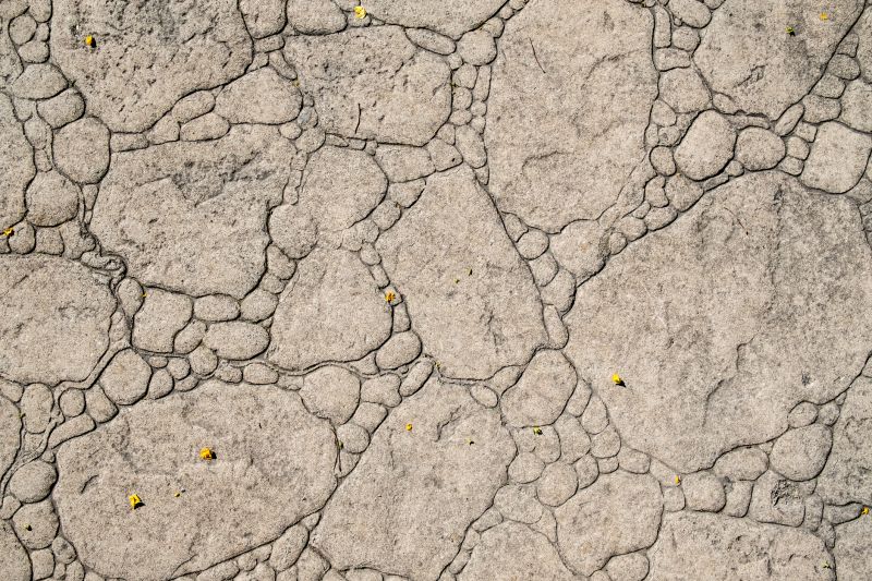 Decorative Concrete Repair in Novi, MI